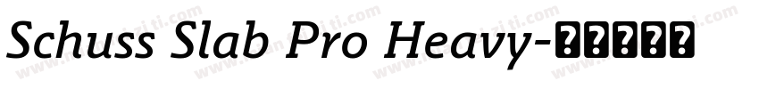 Schuss Slab Pro Heavy字体转换